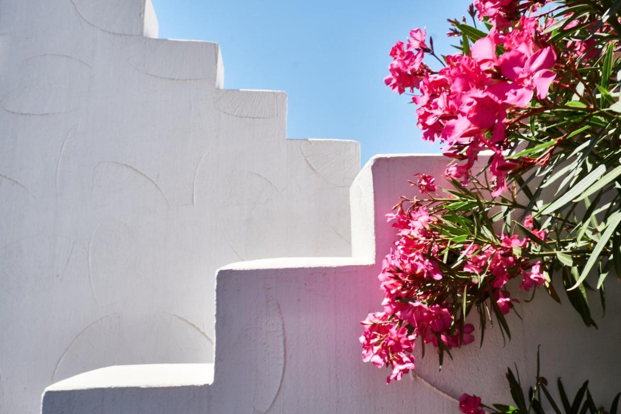 Villa Dublin - Mare Blu 2 - Ostuni 维拉诺瓦 外观 照片